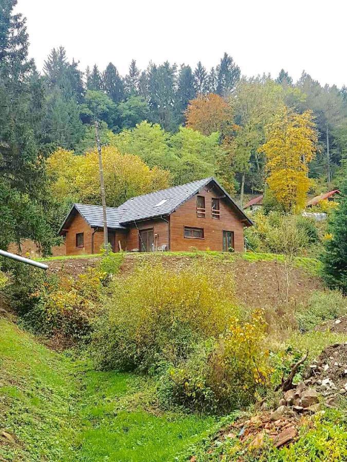 Chalet Du Champs Des Semeaux Wisches エクステリア 写真